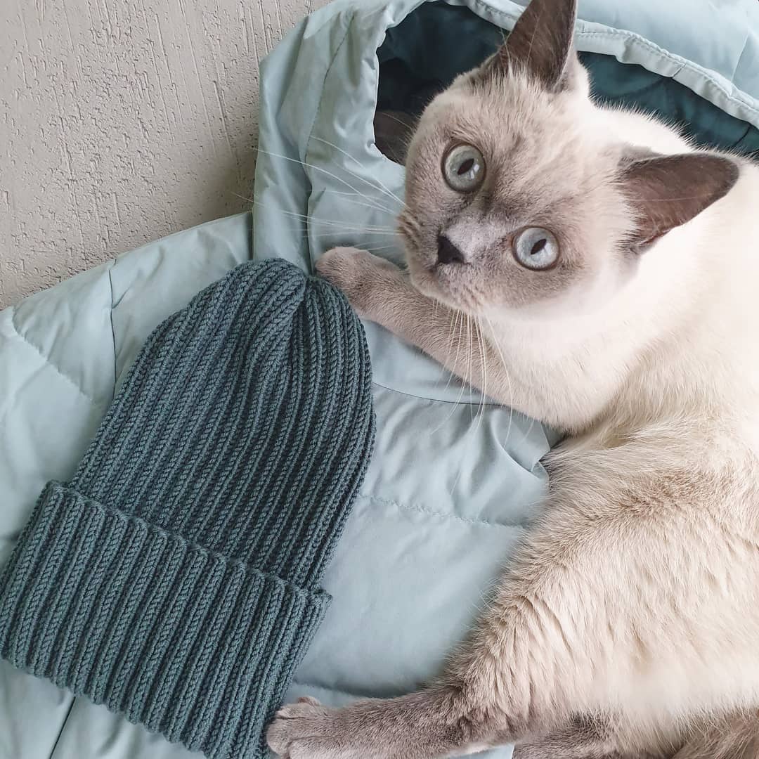Скрин64